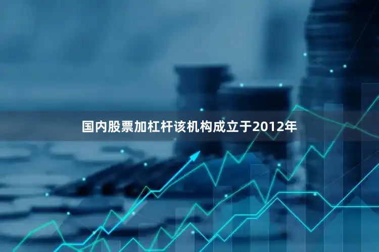 国内股票加杠杆该机构成立于2012年