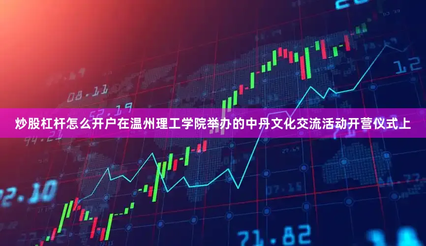 炒股杠杆怎么开户在温州理工学院举办的中丹文化交流活动开营仪式上