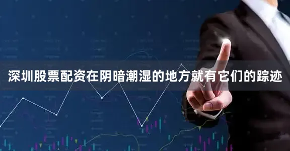 深圳股票配资在阴暗潮湿的地方就有它们的踪迹